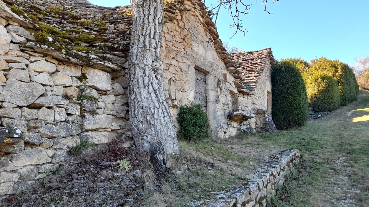 Le Gite Du Tarn Aguessac المظهر الخارجي الصورة